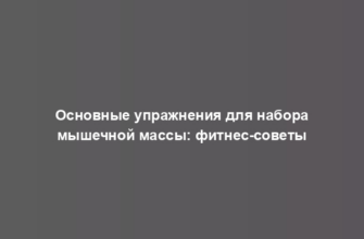 Основные упражнения для набора мышечной массы: фитнес-советы