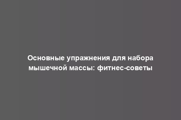 Основные упражнения для набора мышечной массы: фитнес-советы